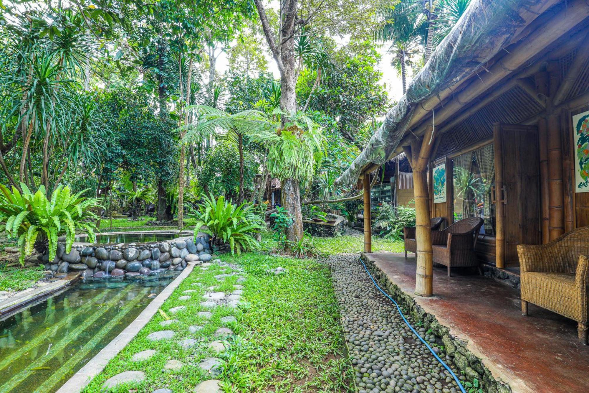 Omunity Bali Hotel ซีงาราจา ภายนอก รูปภาพ
