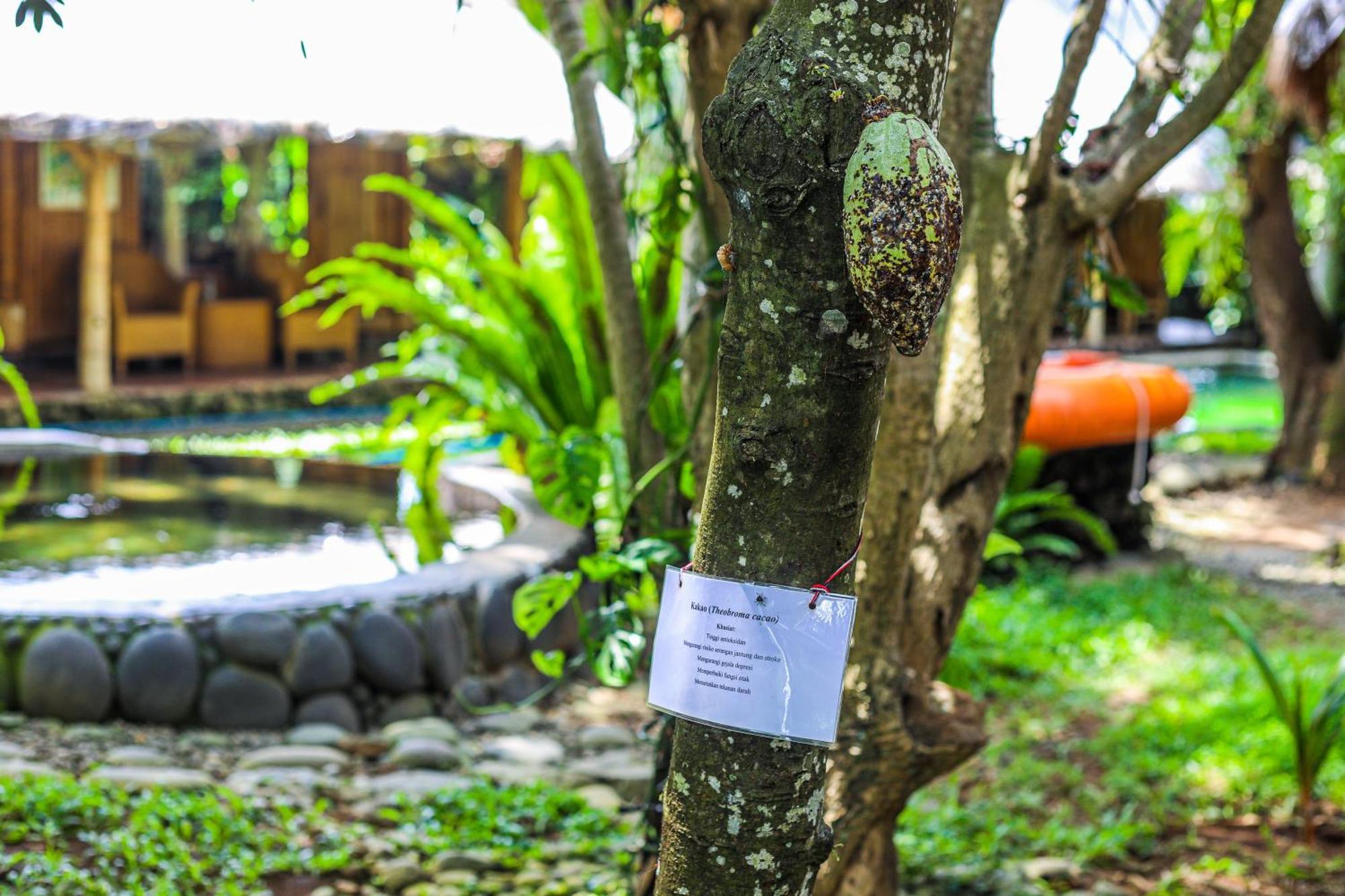 Omunity Bali Hotel ซีงาราจา ภายนอก รูปภาพ